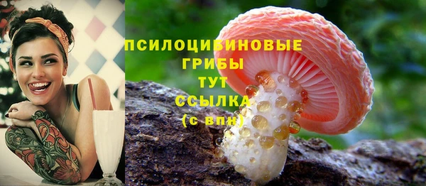 кристаллы Абаза