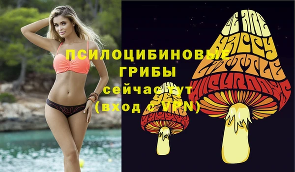 амфетамин Абинск
