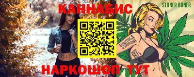 молекула духа Вышний Волочёк