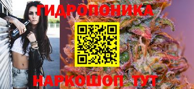 ГАЛЛЮЦИНОГЕННЫЕ ГРИБЫ Вязники