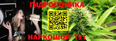 ГАЛЛЮЦИНОГЕННЫЕ ГРИБЫ Вязники