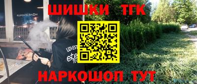 молекула духа Вышний Волочёк