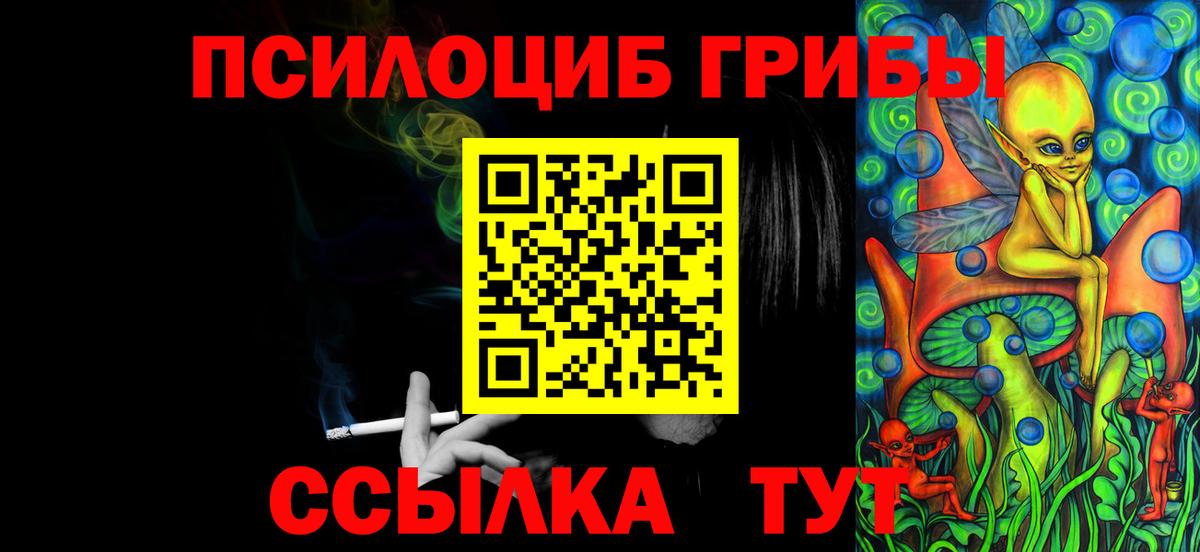 Псилоцибиновые грибы Cubensis  Псилоцибиновые грибы Cubensis  Липецк  Вход с VPN 