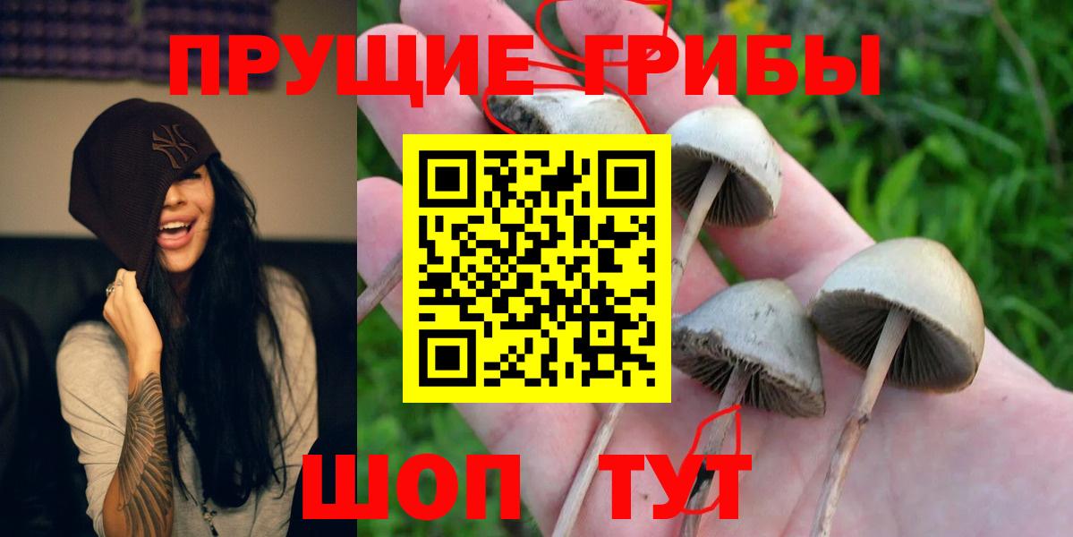 Галлюциногенные грибы прущие грибы Липецк